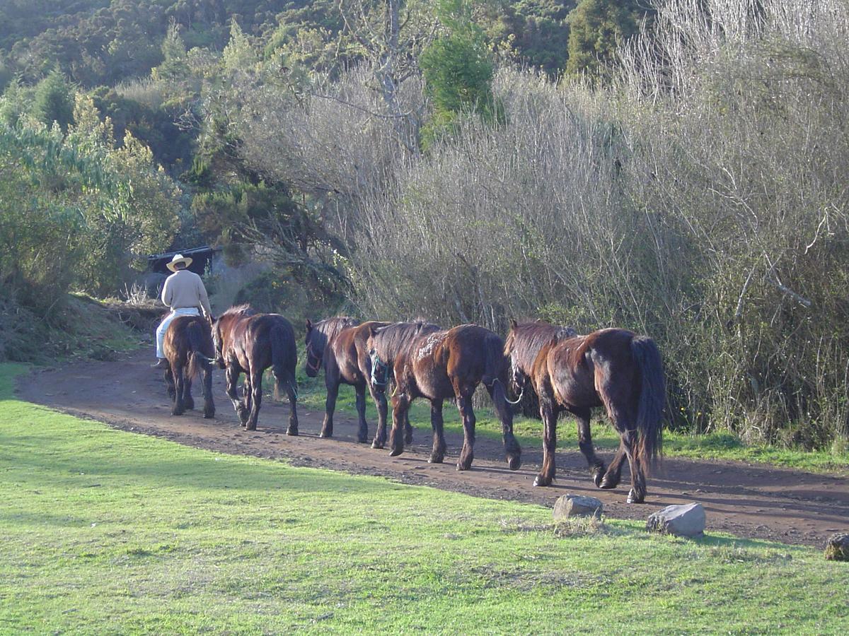 Relais Du Volcan Bed and Breakfast La Plaine des Cafres Esterno foto