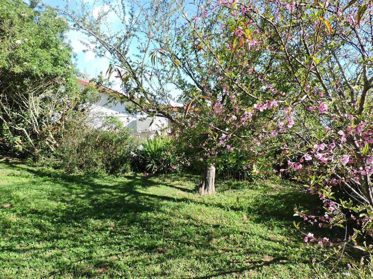 Relais Du Volcan Bed and Breakfast La Plaine des Cafres Esterno foto