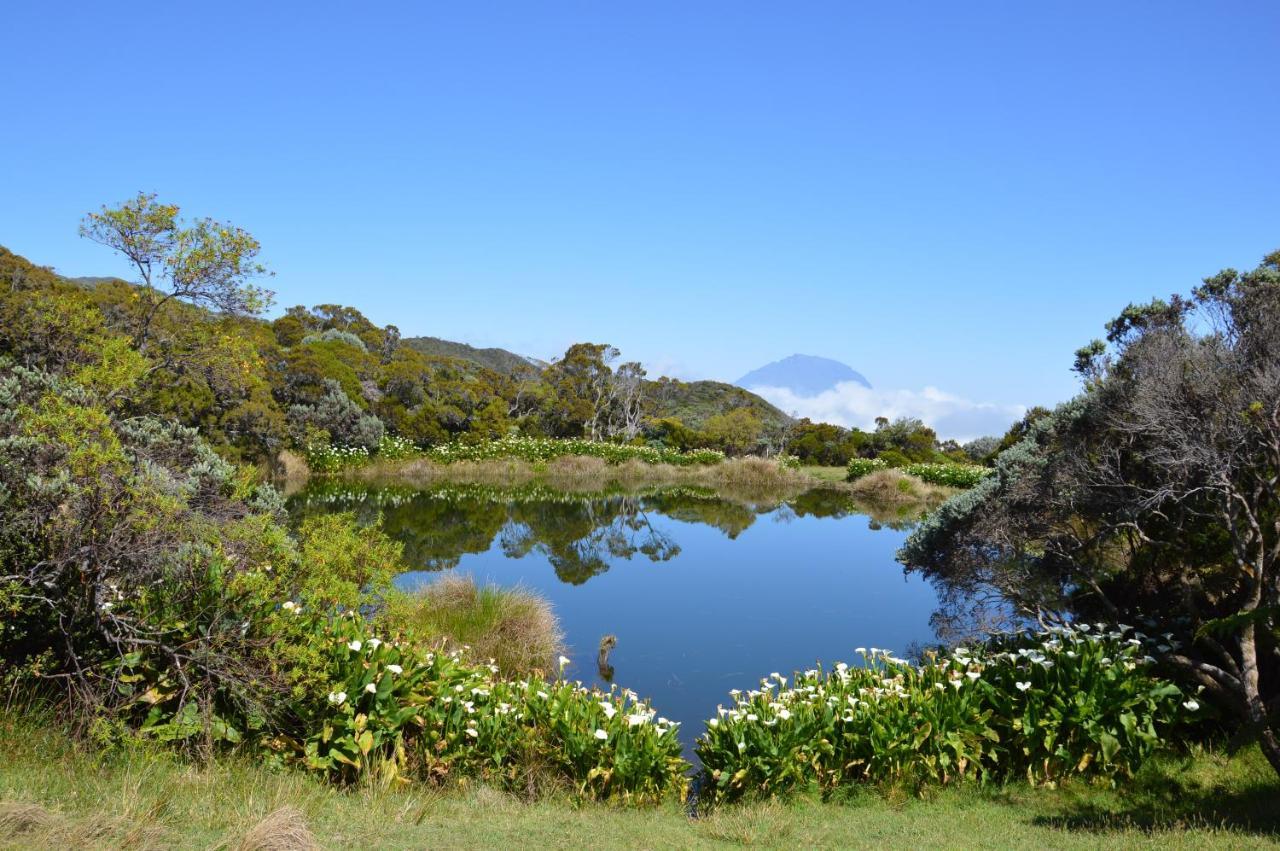 Relais Du Volcan Bed and Breakfast La Plaine des Cafres Esterno foto